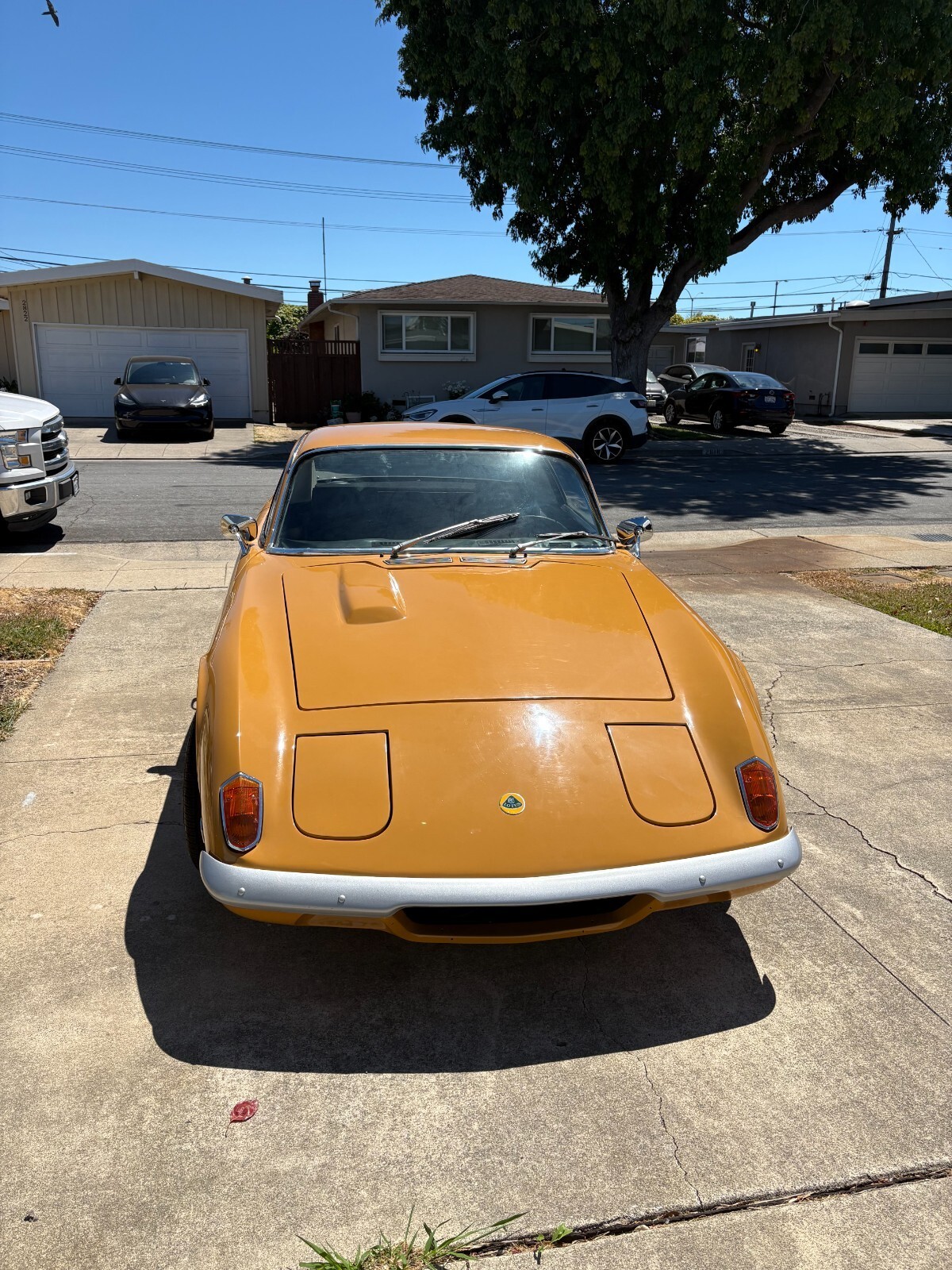 1971 Lotus Elan - photo 8