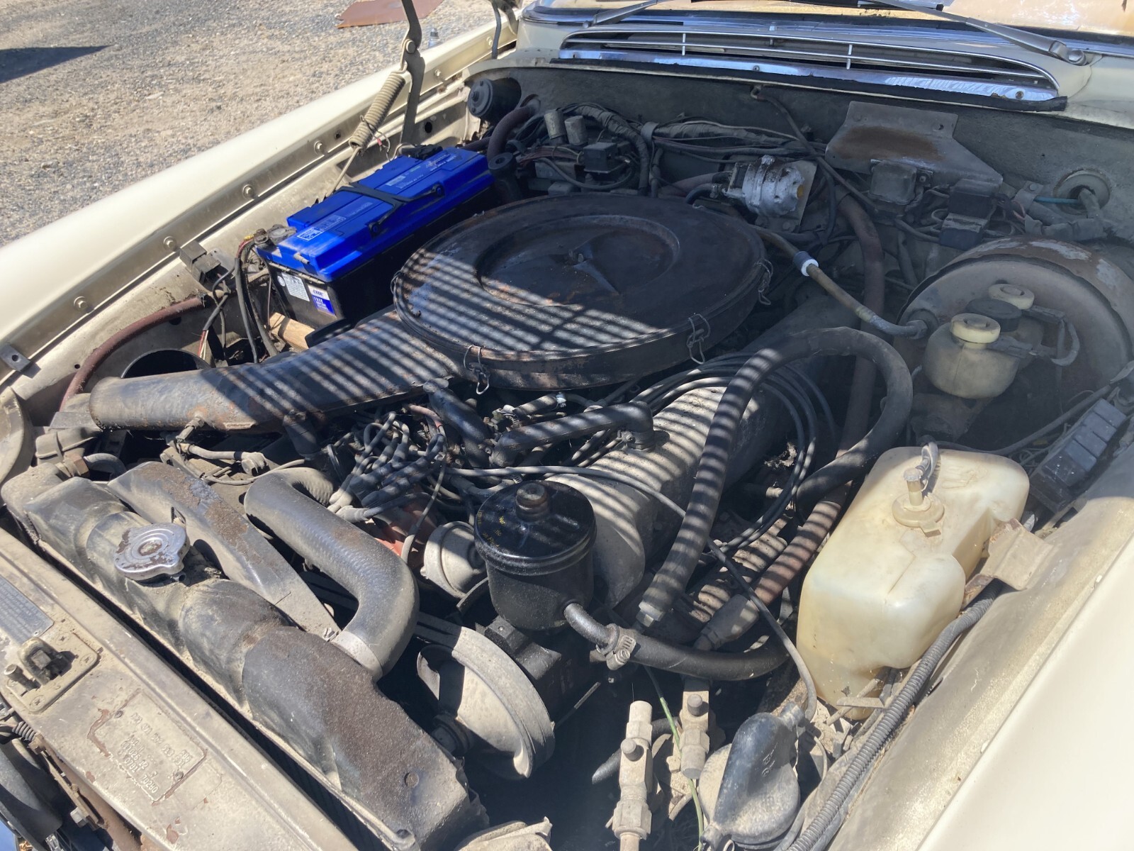 1971 Mercedes-Benz 200-Series - photo 3