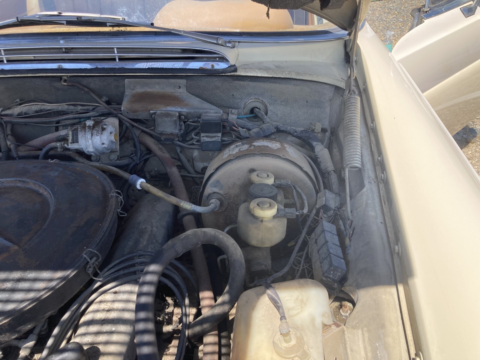 1971 Mercedes-Benz 200-Series - photo 5