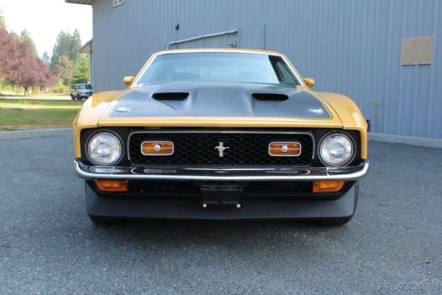 1971 Ford Mustang Fastback R-code Boss Nodular Case Trac-Loc Staggered Shocks Hurst - photo 10