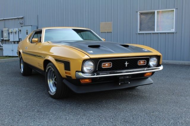 1971 Ford Mustang Fastback R-code Boss Nodular Case Trac-Loc Staggered Shocks Hurst - photo 9
