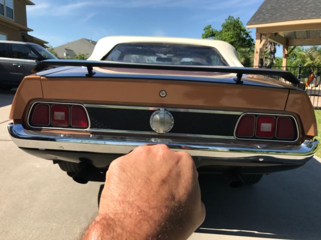 1971 Ford Mustang Ginger - photo 10
