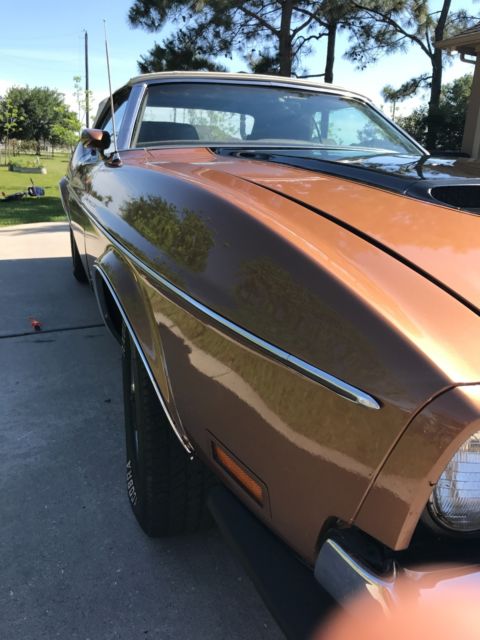 1971 Ford Mustang Ginger - photo 3