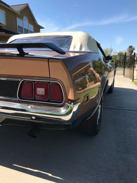 1971 Ford Mustang Ginger - photo 9