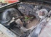 1971 Oldsmobile 442 - photo 3