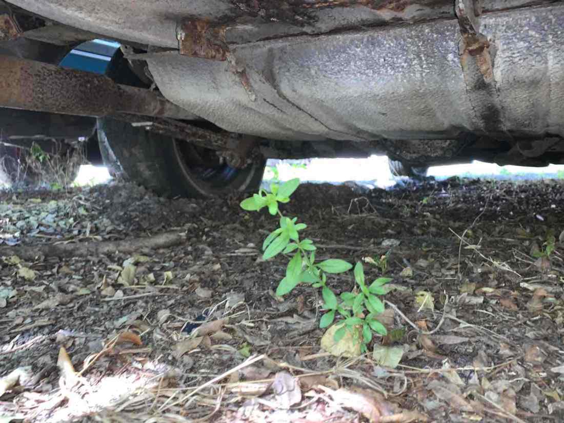 1971 Plymouth Scamp - photo 5