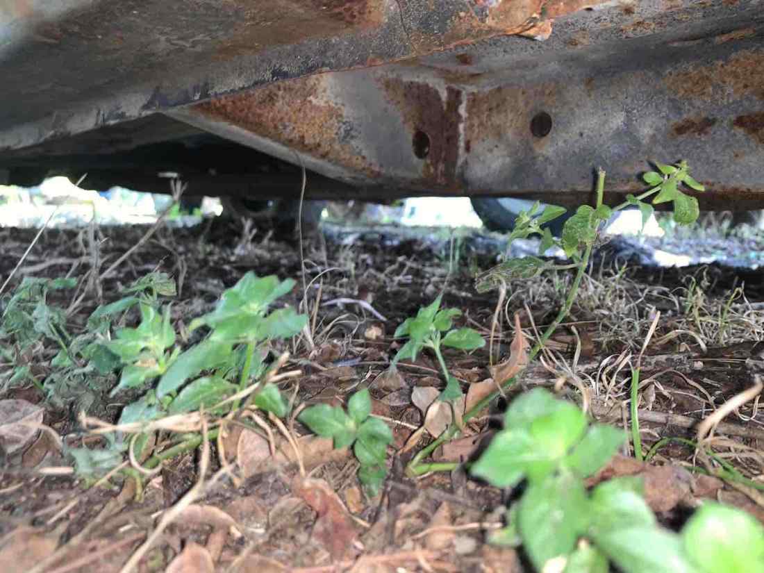 1971 Plymouth Scamp - photo 7