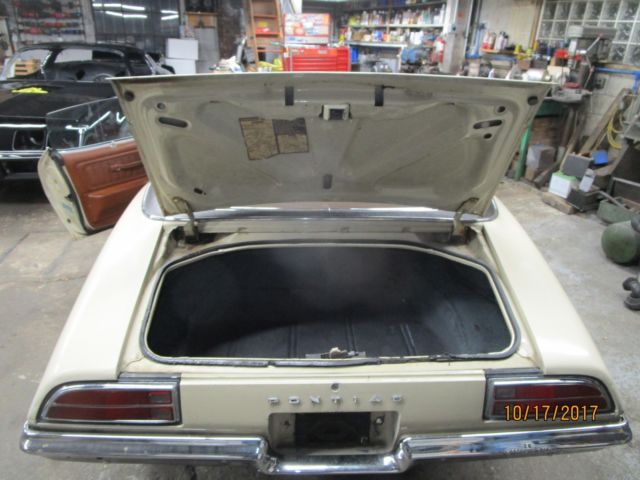 1971 Pontiac Firebird Esprit - photo 10