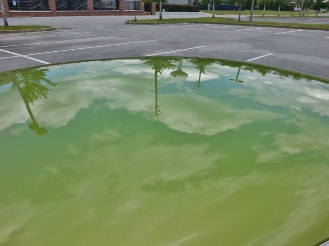 1971 Pontiac Firebird Base - photo 5