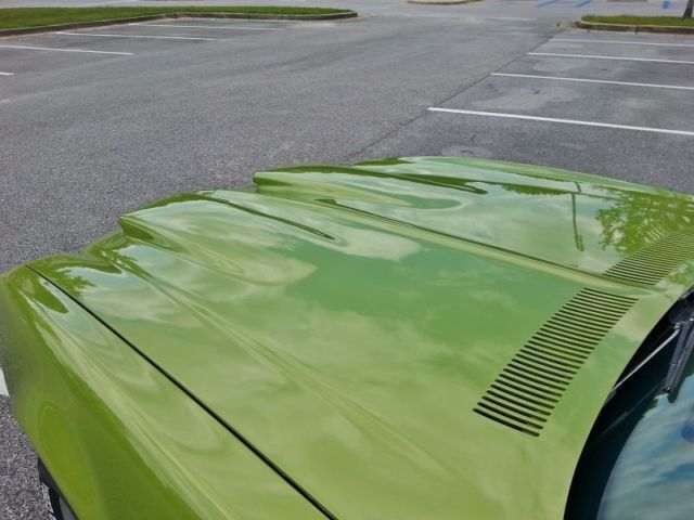 1971 Pontiac Firebird Base - photo 6