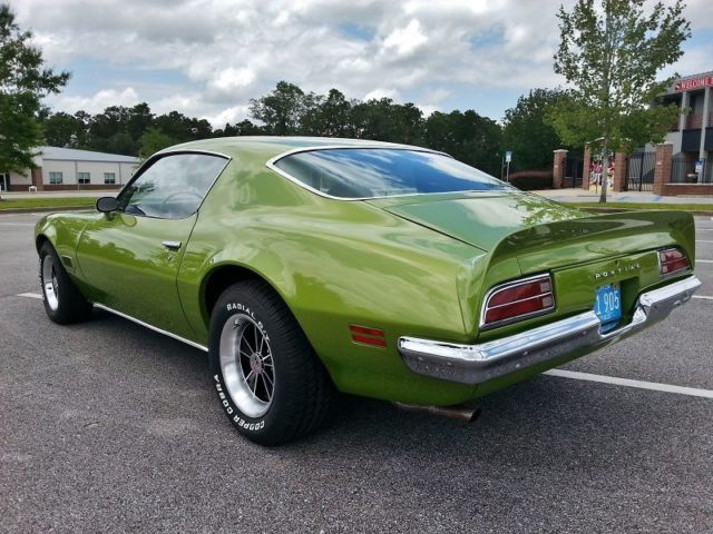 1971 Pontiac Firebird Base - photo 9
