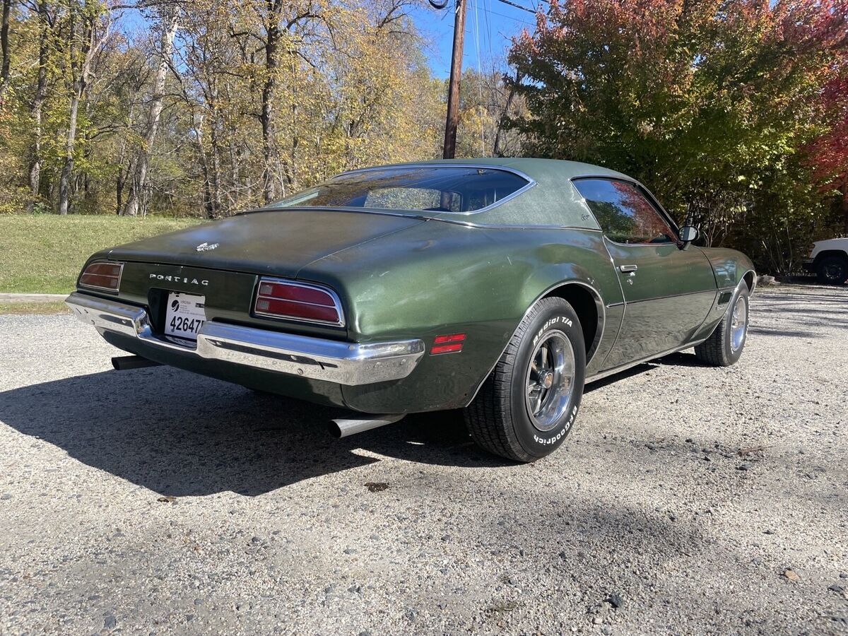 1971 Pontiac Firebird Esprit - photo 10