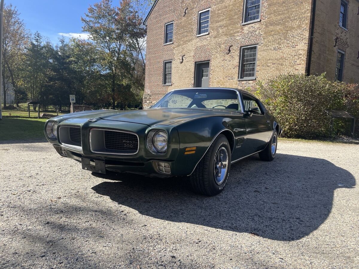 1971 Pontiac Firebird Esprit - photo 12