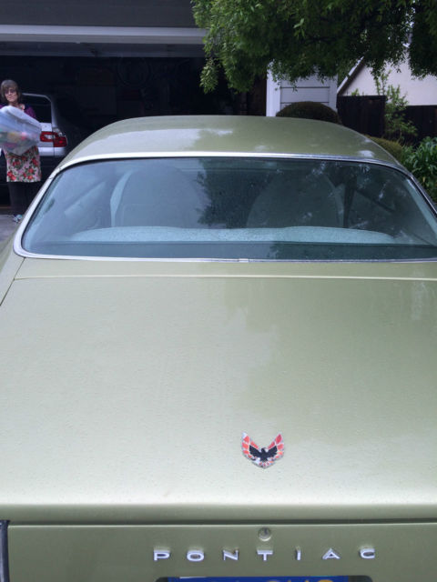 1971 Pontiac Firebird - photo 4