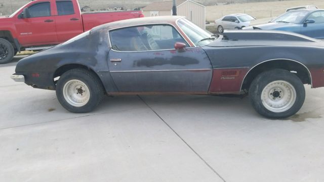 1971 Pontiac Firebird Esprit - photo 4
