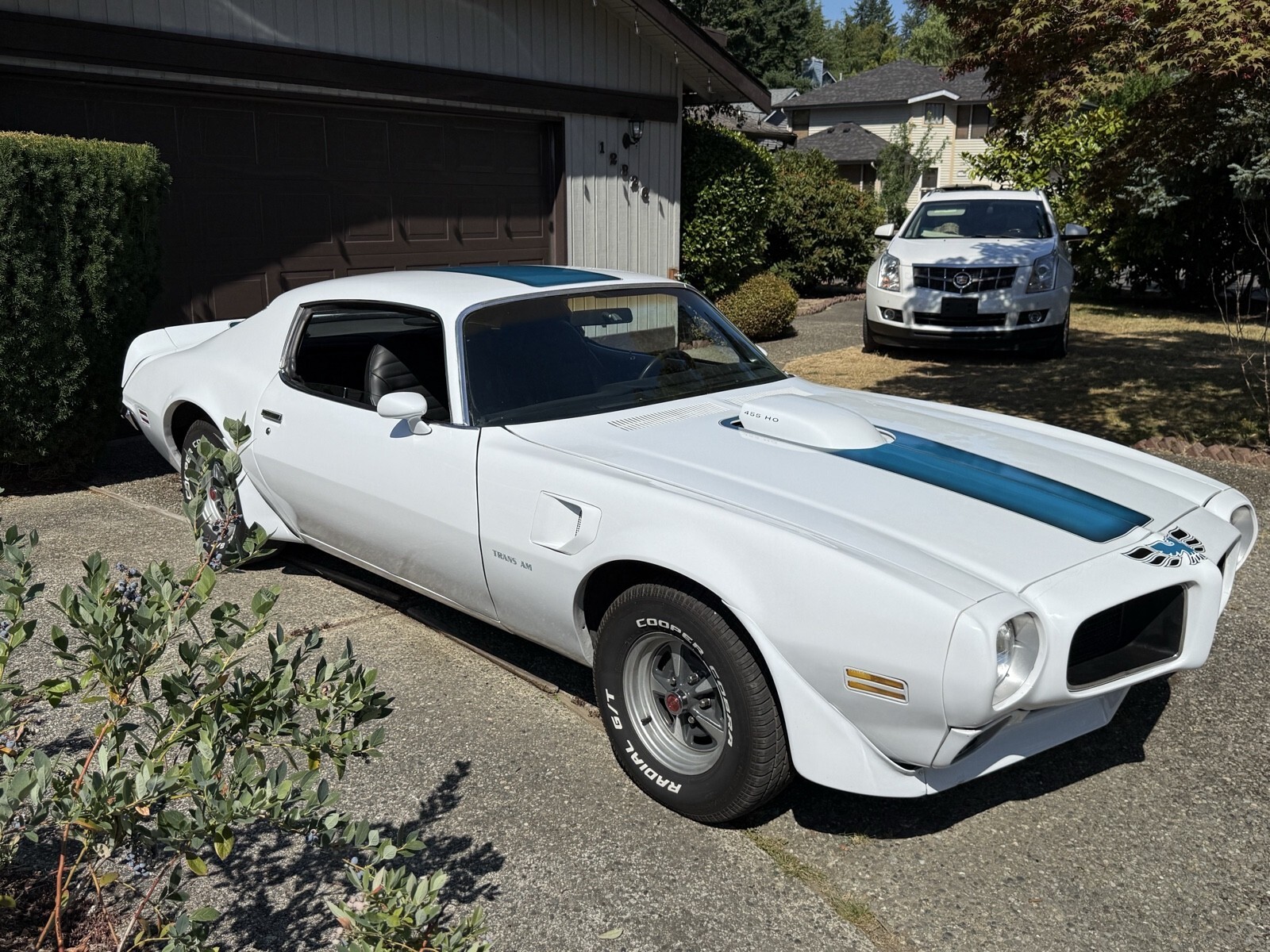 1971 Pontiac Firebird - photo 7