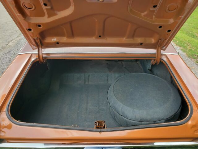 1971 Pontiac Le Mans - photo 11