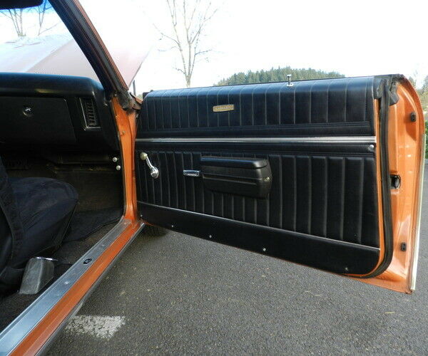 1971 Pontiac Le Mans Black - photo 7