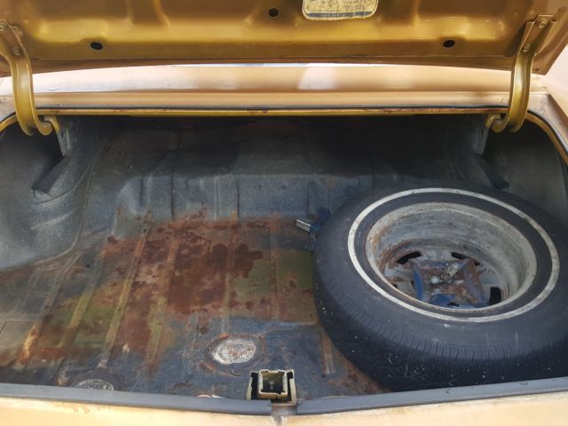 1971 Pontiac Le Mans Sport - photo 10