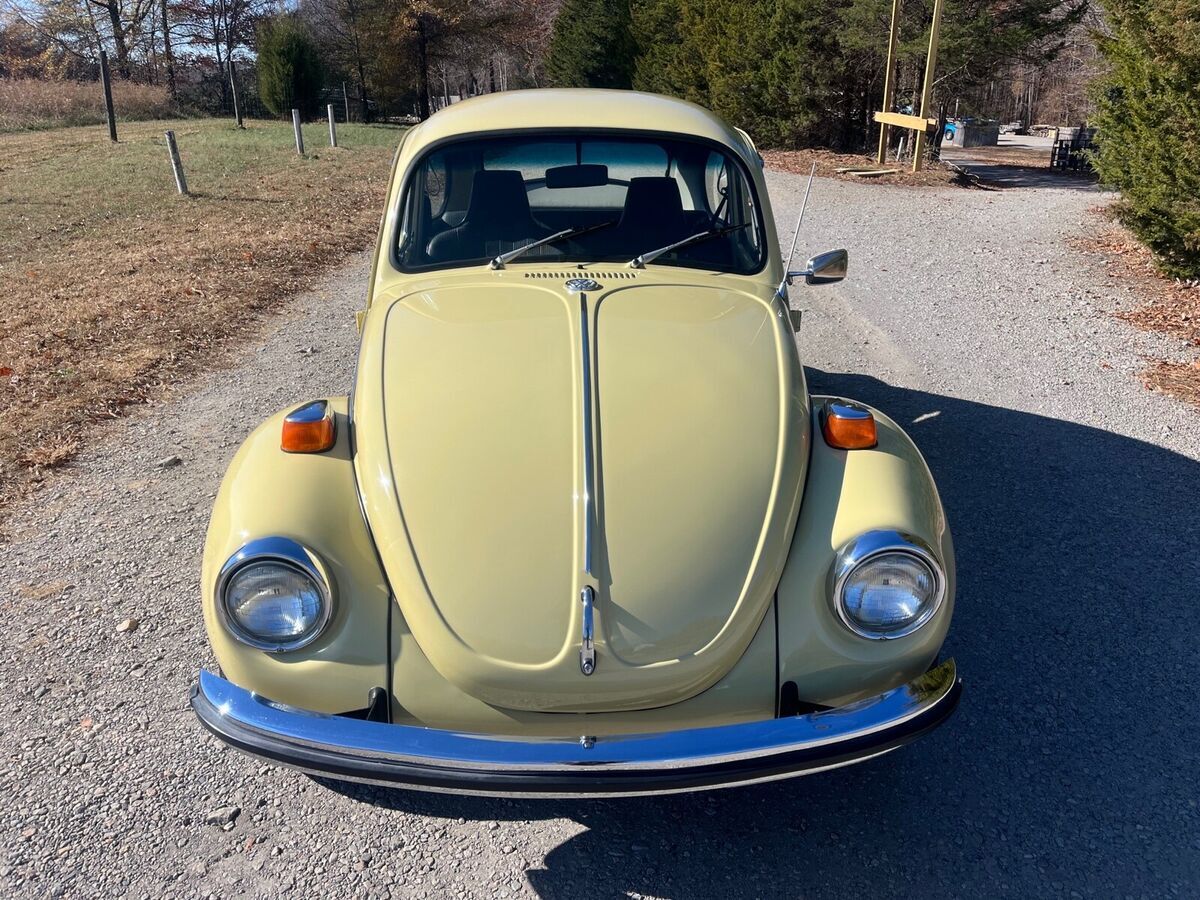 1971 Volkswagen Beetle (Pre-1980) Super Beetle - photo 2