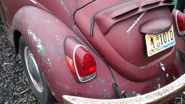 1971 Volkswagen Beetle - Classic chrome - photo 10