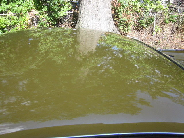 1971 Volvo P1800E - photo 9