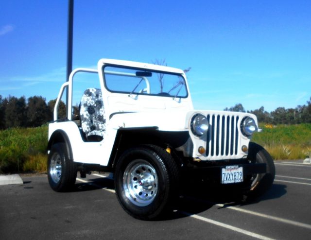 1971 VW "VEEP" Willy's style Jeep Volkswagen Kit car 1600cc IRS Spring-time FUN! 1971 Volkswagen Other