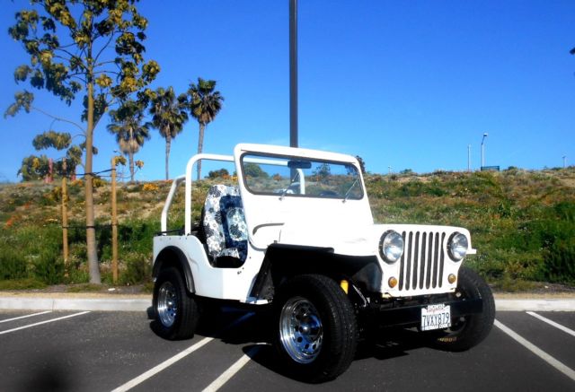 1971 Volkswagen Other - photo 3
