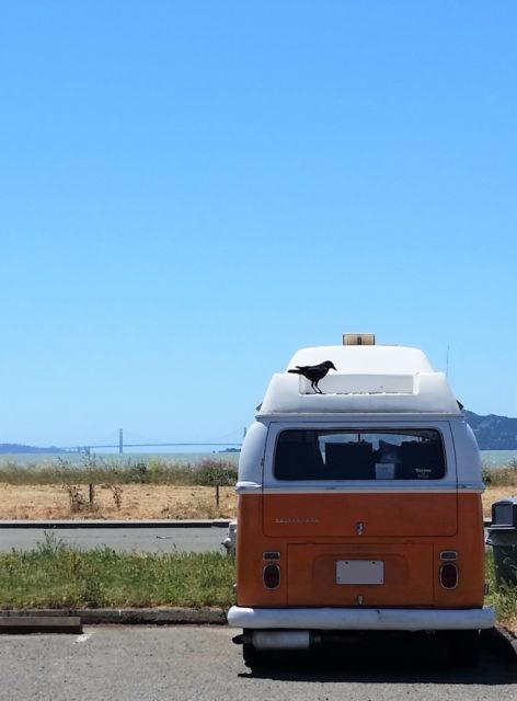 1971 VW Bay Window Adventurewagen Camper Van 1971 Volkswagen Bus/Vanagon