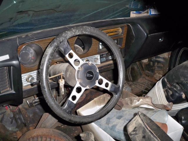 1972 Pontiac GTO WW5 - photo 7
