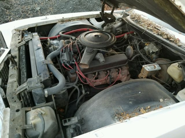 1972 Cadillac Eldorado - photo 13