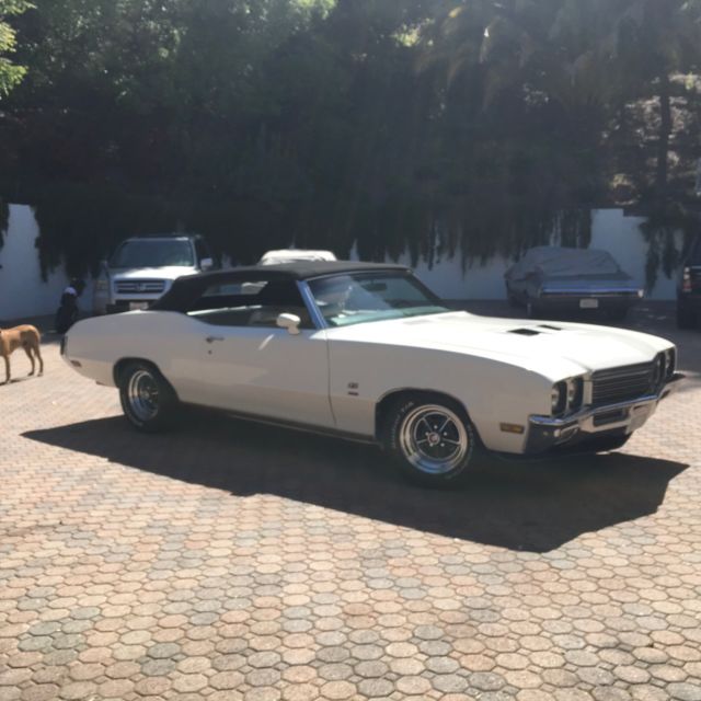 1972 Buick Skylark GS - photo 5