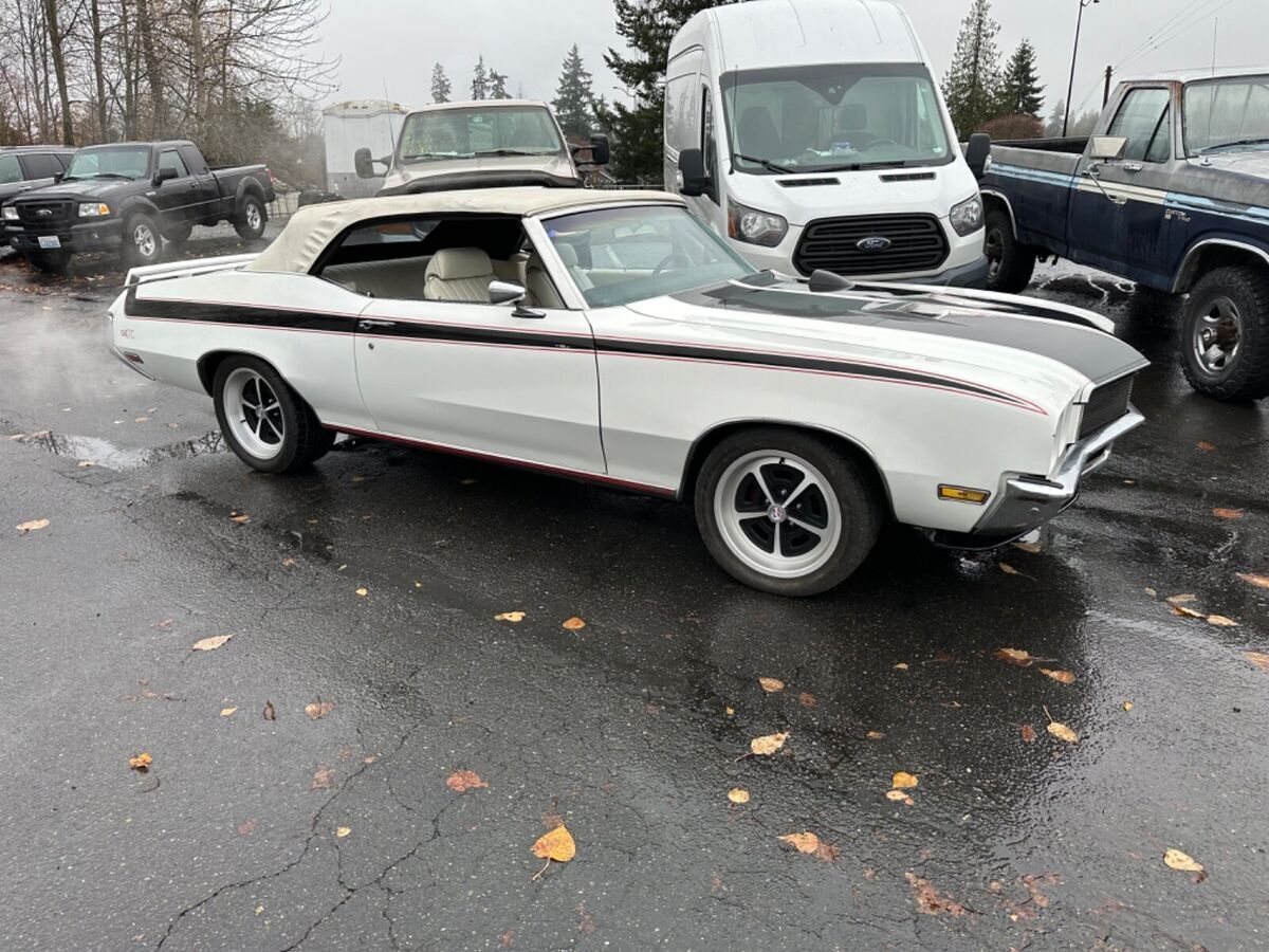 1972 Buick Skylark - photo 6