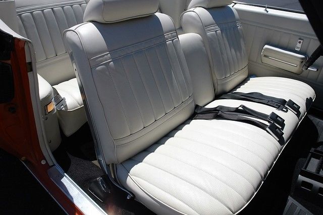 1972 Buick Skylark N/A - photo 4