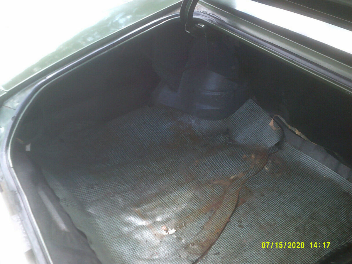 1972 Buick Skylark - photo 11