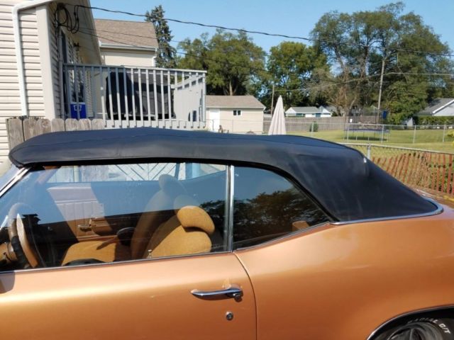 1972 Buick Skylark -Show n Tell Summer Eye Candy - photo 8