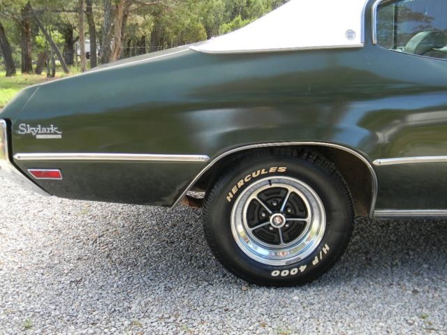 1972 Buick Skylark - photo 11