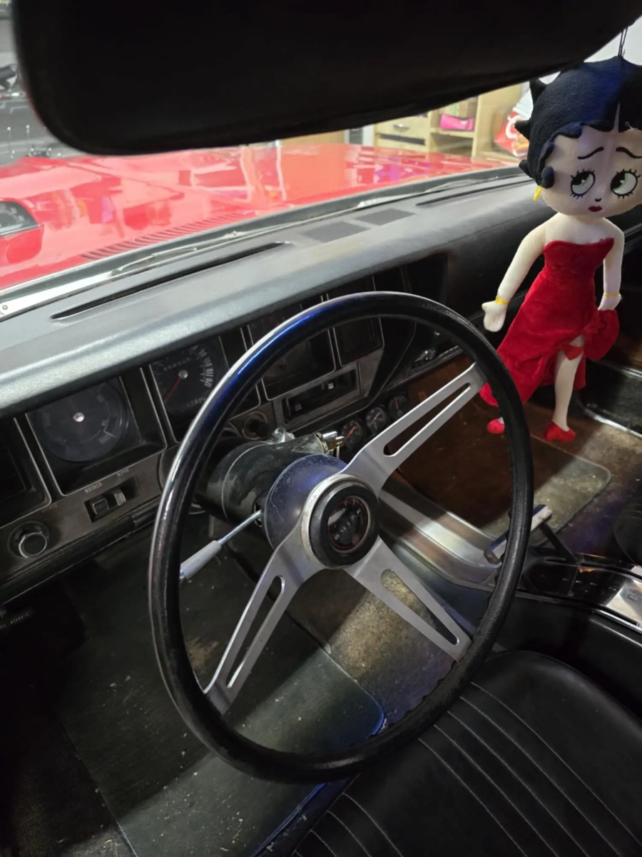 1972 Buick Skylark - photo 12