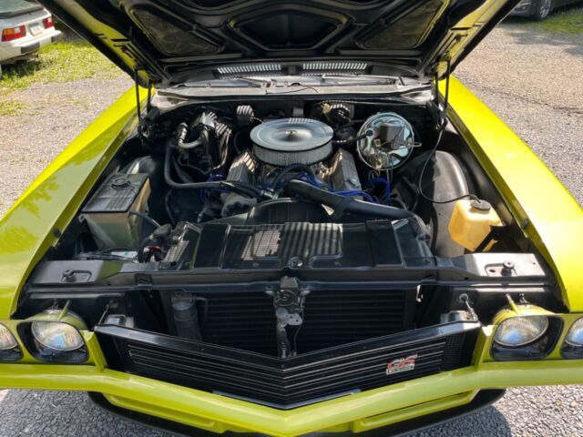 1972 Buick Skylark - photo 6