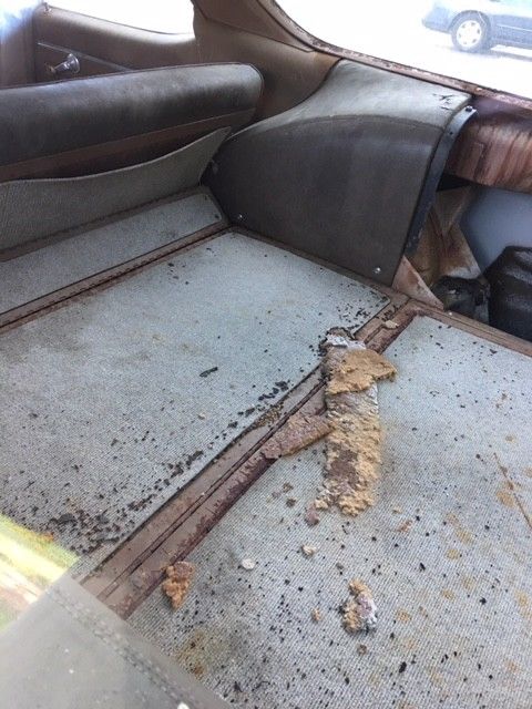 1972 Buick wagon sport wagon - photo 10