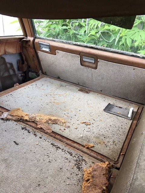 1972 Buick wagon sport wagon - photo 9