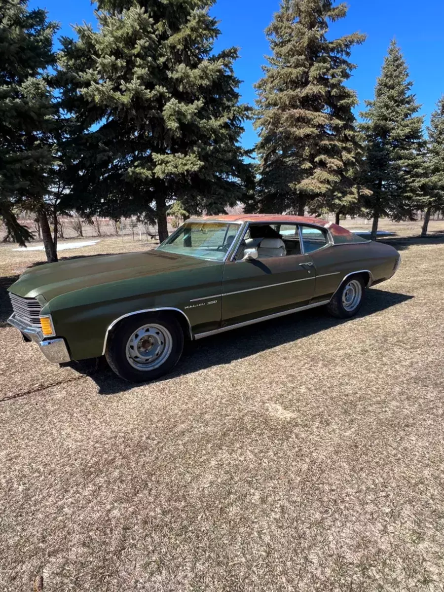 1972 chevelle 1966 1967 1968 1969 1970 1971 rat rod Malibu ss 350 396 427 454 1972 Chevrolet Chevelle