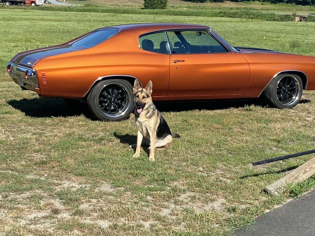 1972 Chevrolet Chevelle Coupe - photo 3