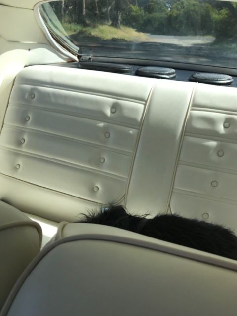 1972 Oldsmobile Cutlass - photo 5