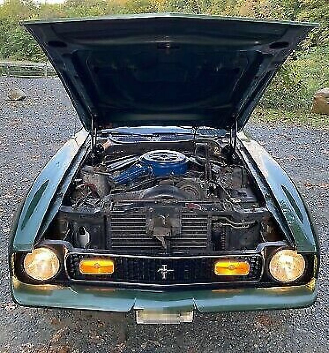 1972 Ford Mustang Mach 1 351 leather/vinyl - photo 6