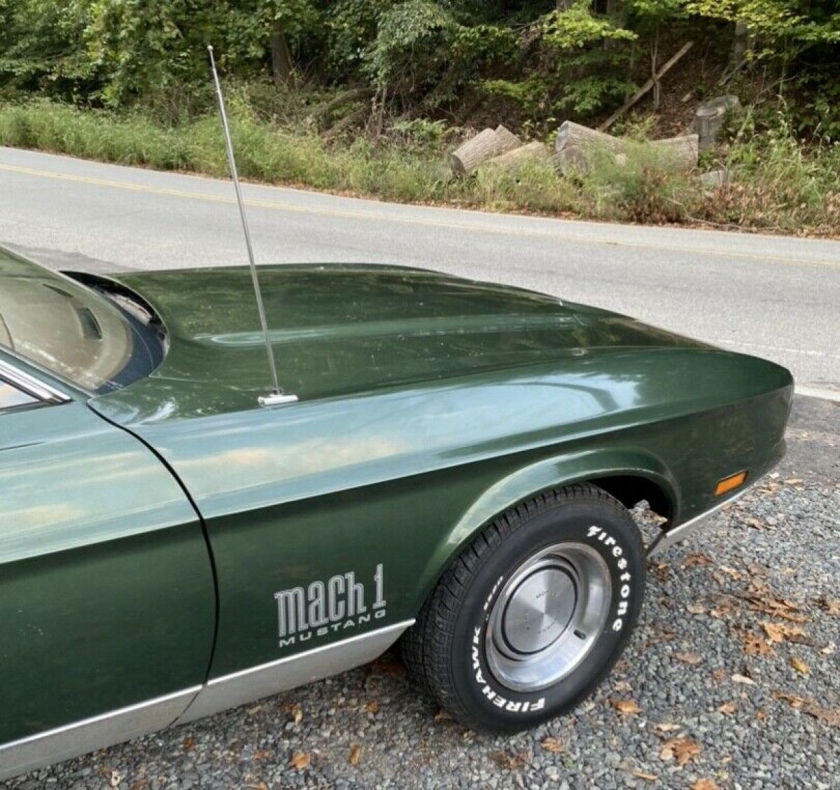 1972 Ford Mustang Mach 1 351 leather/vinyl - photo 4