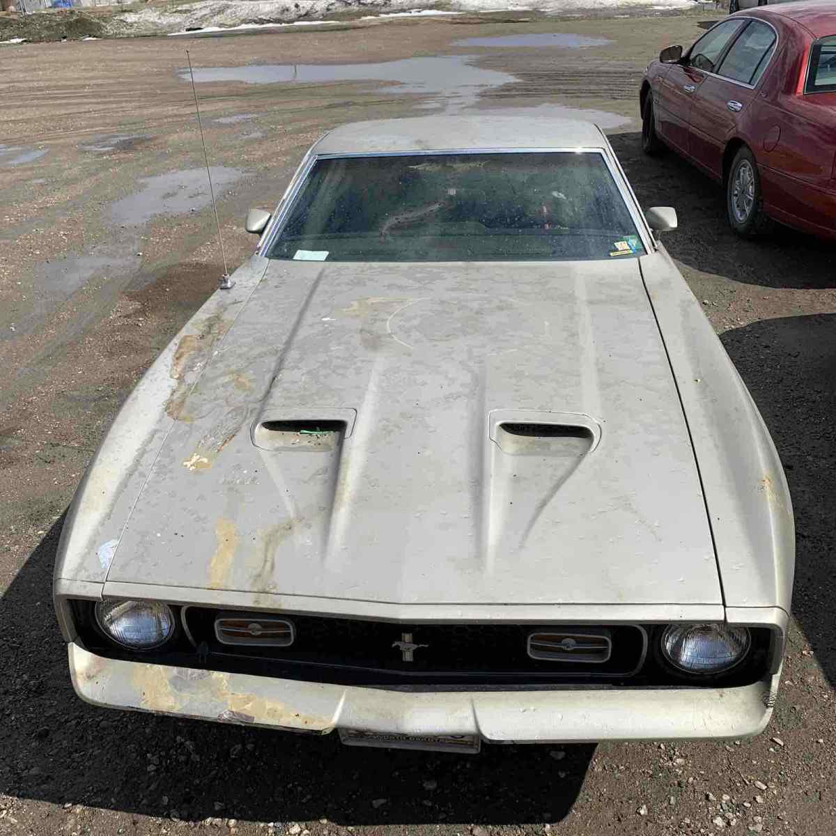 1972 Ford Mustang Mach 1 Mach 1 - photo 2