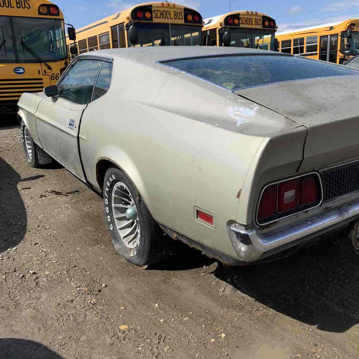 1972 Ford Mustang Mach 1 Mach 1 - photo 7