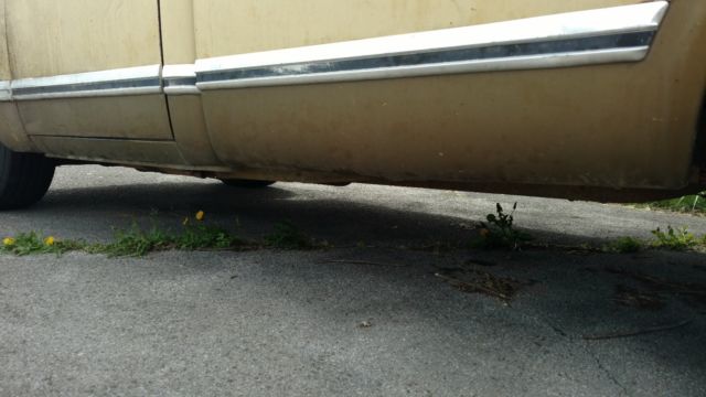 1972 International Harvester 1100 - photo 5