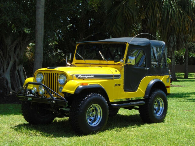 1972 Jeep CJ CUSTOM ROLL CAGE ONE OF A KIND PREMIUM SOUND SYSTEM CJ5 - photo 12